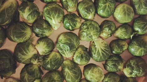 brussels-sprouts